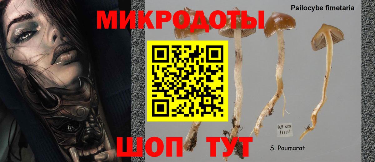Псилоцибиновые грибы GOLDEN TEACHER  Вход с VPN  Пыть-Ях 